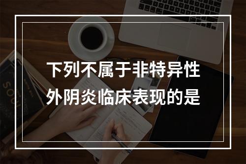 下列不属于非特异性外阴炎临床表现的是