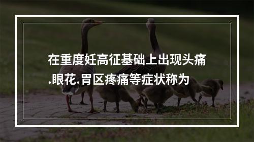 在重度妊高征基础上出现头痛.眼花.胃区疼痛等症状称为