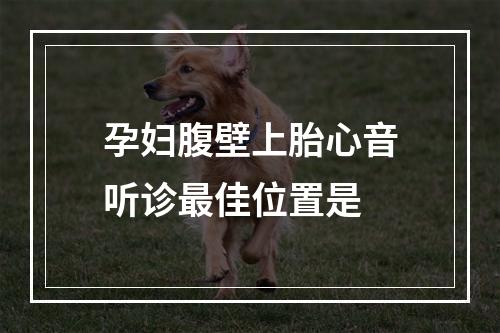 孕妇腹壁上胎心音听诊最佳位置是