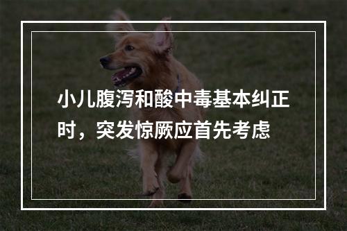 小儿腹泻和酸中毒基本纠正时，突发惊厥应首先考虑