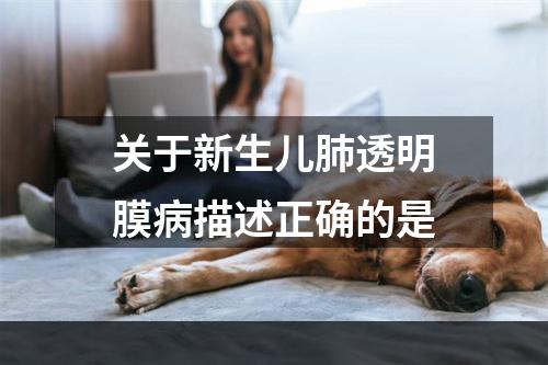 关于新生儿肺透明膜病描述正确的是