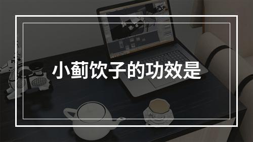 小蓟饮子的功效是