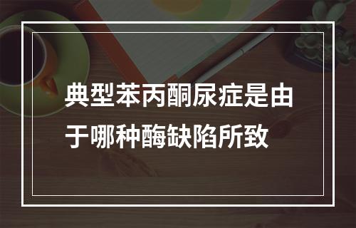 典型苯丙酮尿症是由于哪种酶缺陷所致