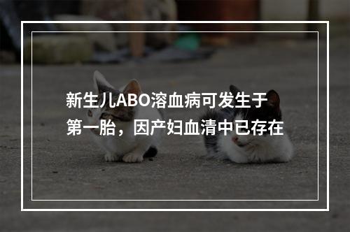 新生儿ABO溶血病可发生于第一胎，因产妇血清中已存在