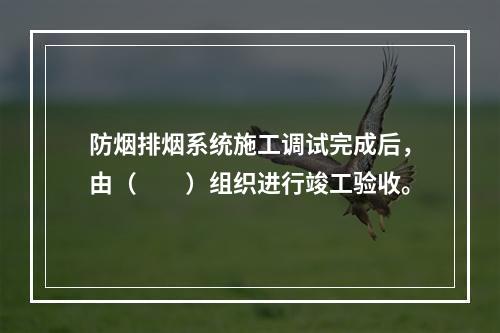 防烟排烟系统施工调试完成后，由（  ）组织进行竣工验收。