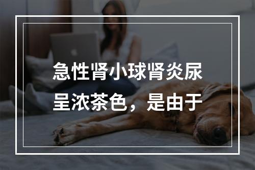 急性肾小球肾炎尿呈浓茶色，是由于