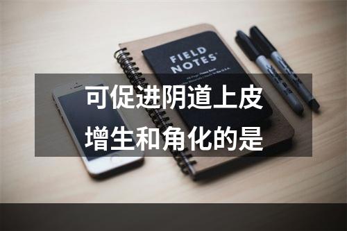 可促进阴道上皮增生和角化的是