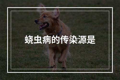 蛲虫病的传染源是