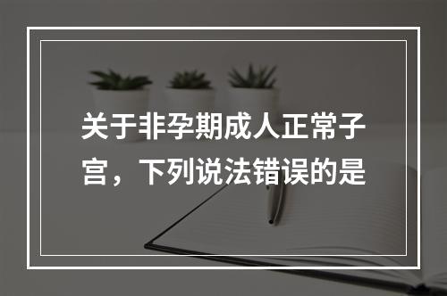 关于非孕期成人正常子宫，下列说法错误的是