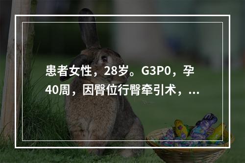 患者女性，28岁。G3P0，孕40周，因臀位行臀牵引术，胎儿