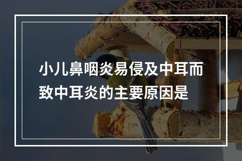 小儿鼻咽炎易侵及中耳而致中耳炎的主要原因是