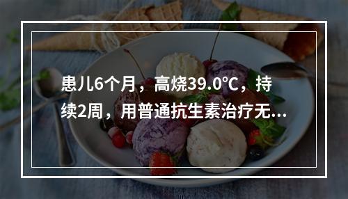 患儿6个月，高烧39.0℃，持续2周，用普通抗生素治疗无效。