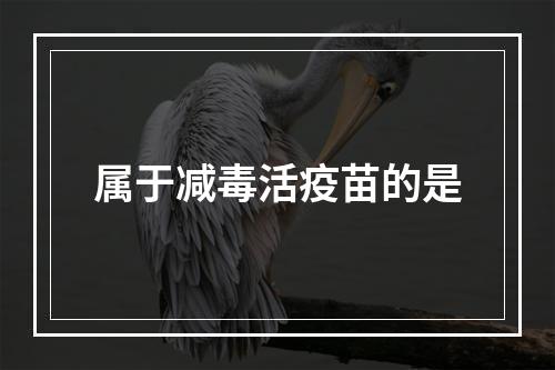 属于减毒活疫苗的是