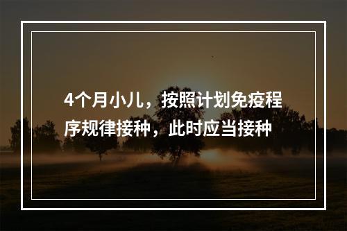 4个月小儿，按照计划免疫程序规律接种，此时应当接种