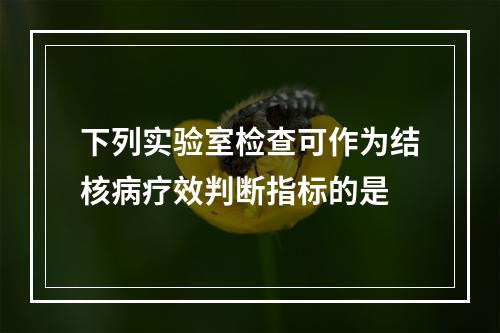 下列实验室检查可作为结核病疗效判断指标的是