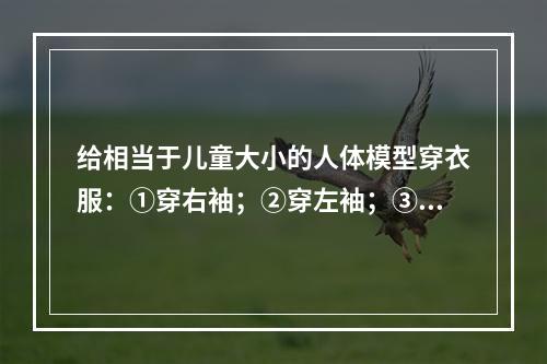 给相当于儿童大小的人体模型穿衣服：①穿右袖；②穿左袖；③穿