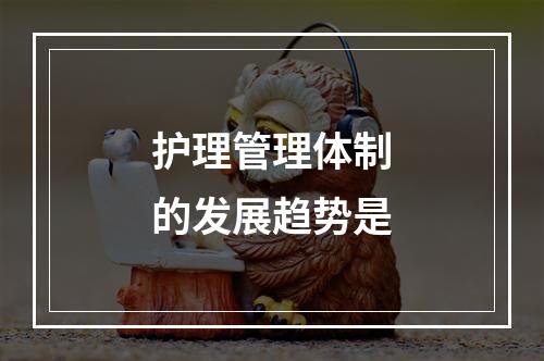 护理管理体制的发展趋势是