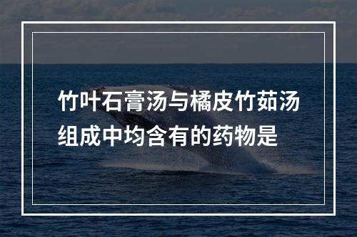 竹叶石膏汤与橘皮竹茹汤组成中均含有的药物是