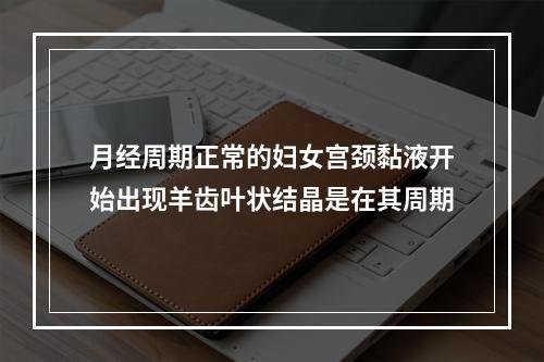 月经周期正常的妇女宫颈黏液开始出现羊齿叶状结晶是在其周期