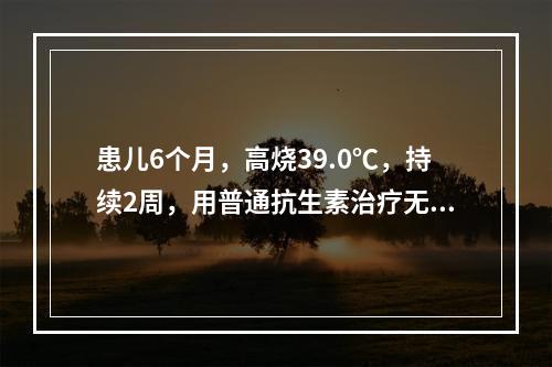 患儿6个月，高烧39.0℃，持续2周，用普通抗生素治疗无效。