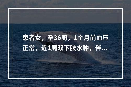 患者女，孕36周，1个月前血压正常，近1周双下肢水肿，伴头晕