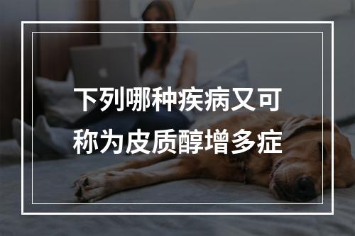 下列哪种疾病又可称为皮质醇增多症