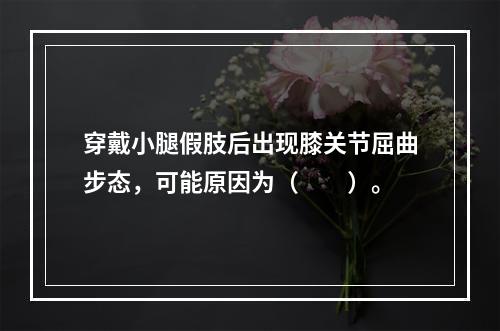 穿戴小腿假肢后出现膝关节屈曲步态，可能原因为（　　）。