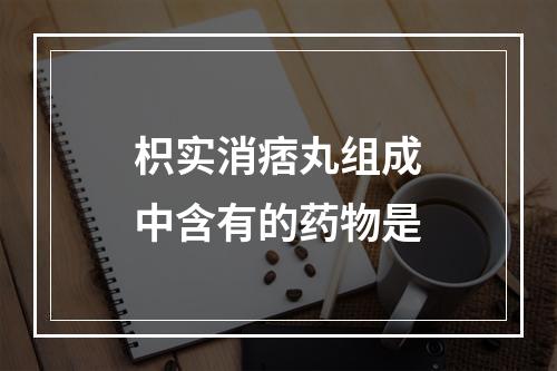 枳实消痞丸组成中含有的药物是