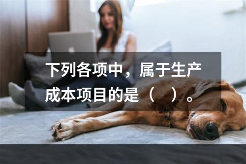 下列各项中，属于生产成本项目的是（　）。