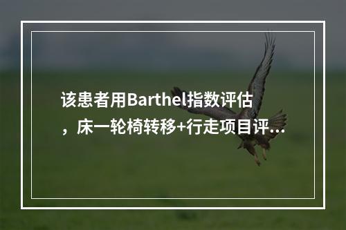 该患者用Barthel指数评估，床一轮椅转移+行走项目评分为