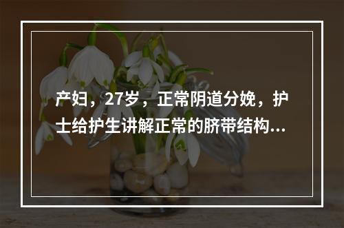 产妇，27岁，正常阴道分娩，护士给护生讲解正常的脐带结构是