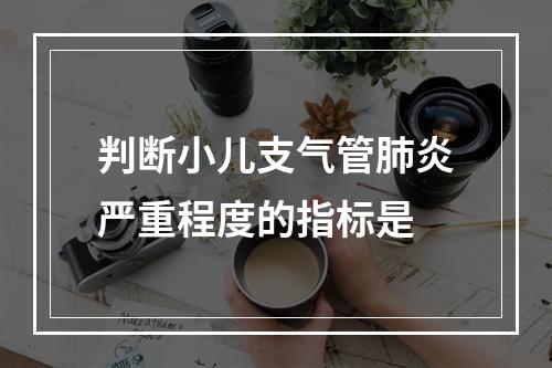 判断小儿支气管肺炎严重程度的指标是