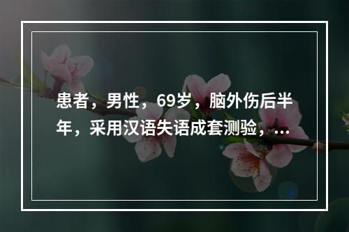 患者，男性，69岁，脑外伤后半年，采用汉语失语成套测验，结