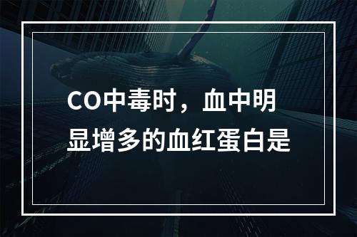 CO中毒时，血中明显增多的血红蛋白是