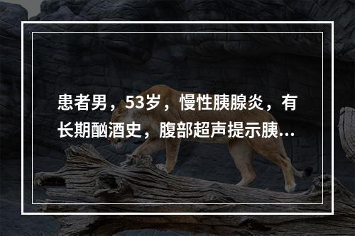 患者男，53岁，慢性胰腺炎，有长期酗酒史，腹部超声提示胰头胰