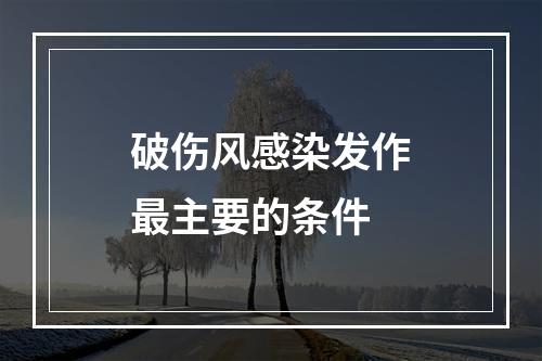 破伤风感染发作最主要的条件