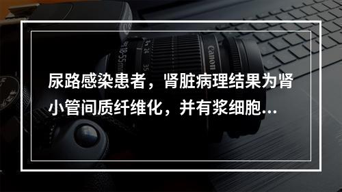 尿路感染患者，肾脏病理结果为肾小管间质纤维化，并有浆细胞及淋