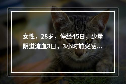 女性，28岁，停经45日，少量阴道流血3日，3小时前突感左下