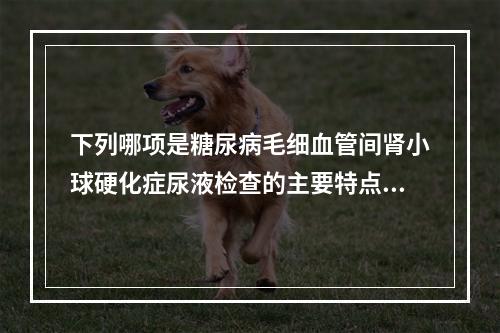 下列哪项是糖尿病毛细血管间肾小球硬化症尿液检查的主要特点（　