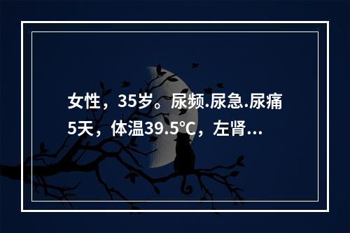 女性，35岁。尿频.尿急.尿痛5天，体温39.5℃，左肾区有