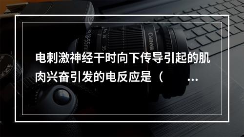 电刺激神经干时向下传导引起的肌肉兴奋引发的电反应是（　　）