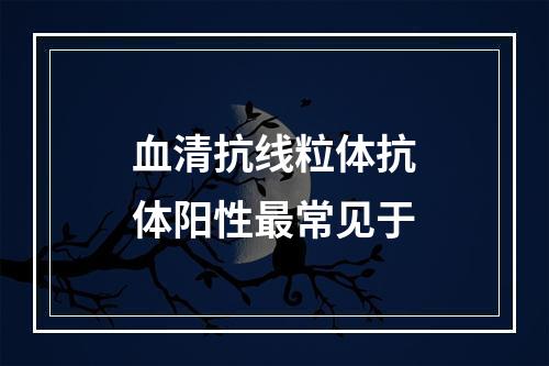 血清抗线粒体抗体阳性最常见于