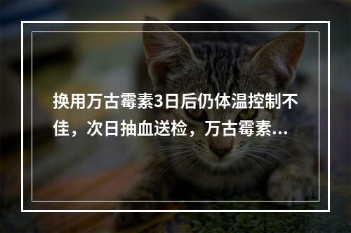 换用万古霉素3日后仍体温控制不佳，次日抽血送检，万古霉素谷浓