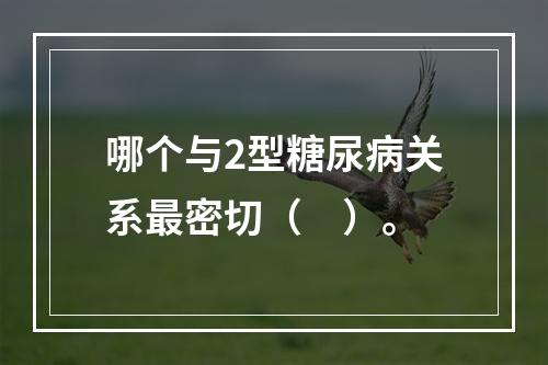 哪个与2型糖尿病关系最密切（　）。