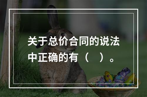 关于总价合同的说法中正确的有（　）。