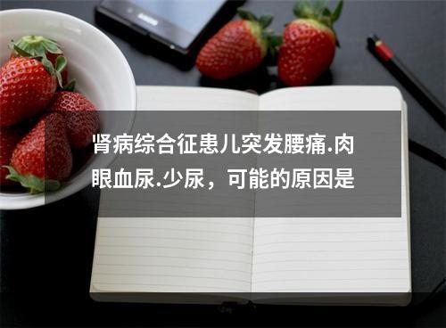 肾病综合征患儿突发腰痛.肉眼血尿.少尿，可能的原因是