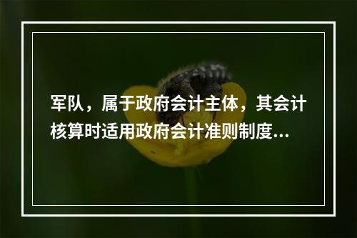 军队，属于政府会计主体，其会计核算时适用政府会计准则制度。（