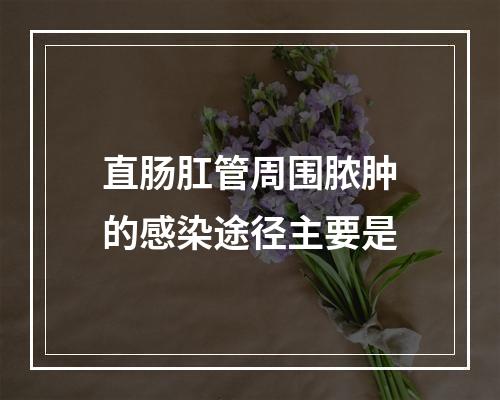 直肠肛管周围脓肿的感染途径主要是