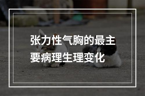 张力性气胸的最主要病理生理变化