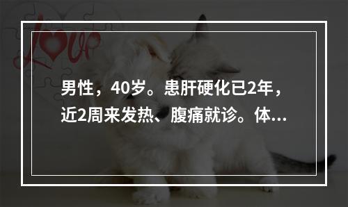 男性，40岁。患肝硬化已2年，近2周来发热、腹痛就诊。体检：